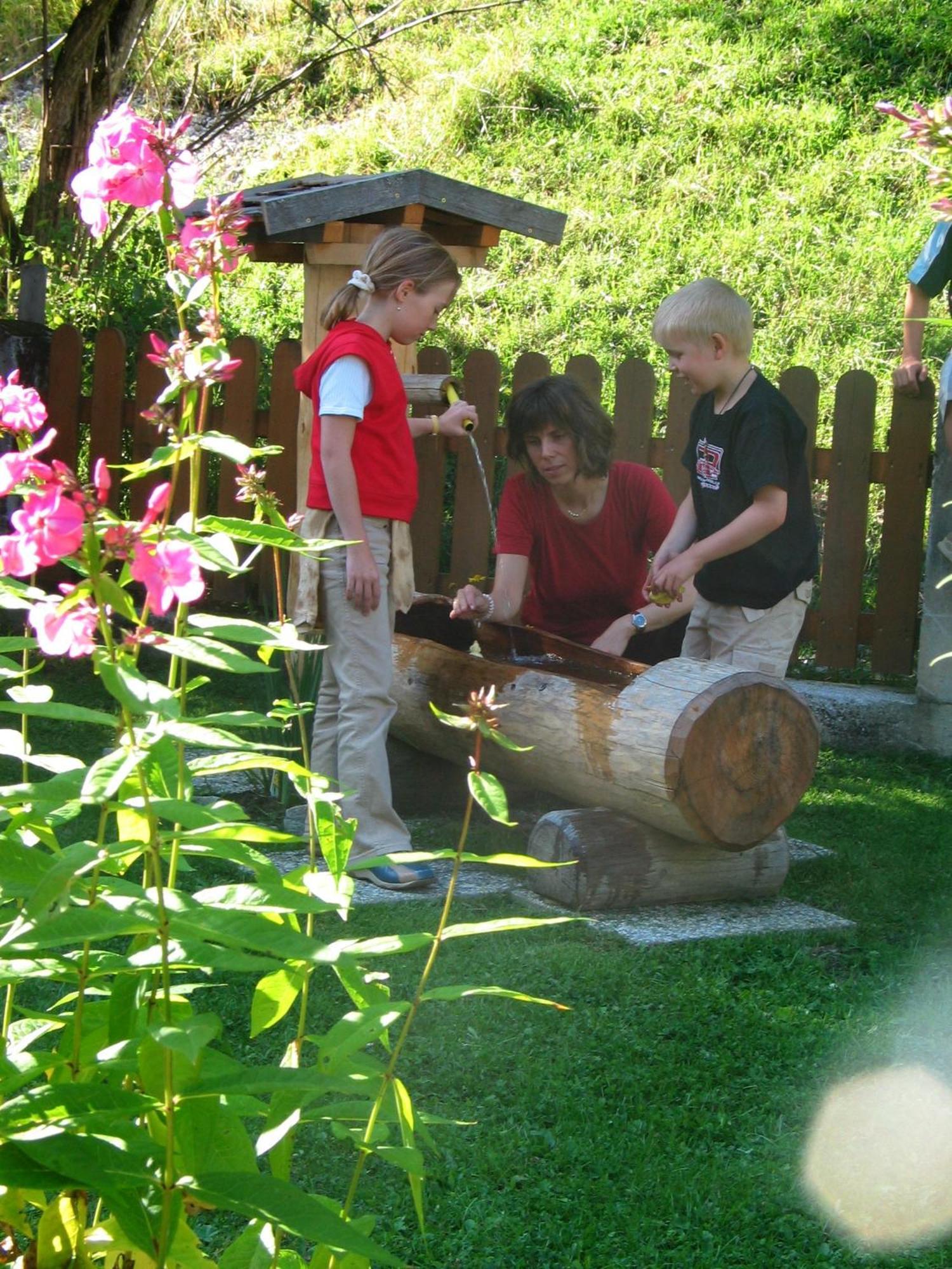 Pension Riedlsperger ซาลบาคฮินเทอร์เกลมม์ ภายนอก รูปภาพ